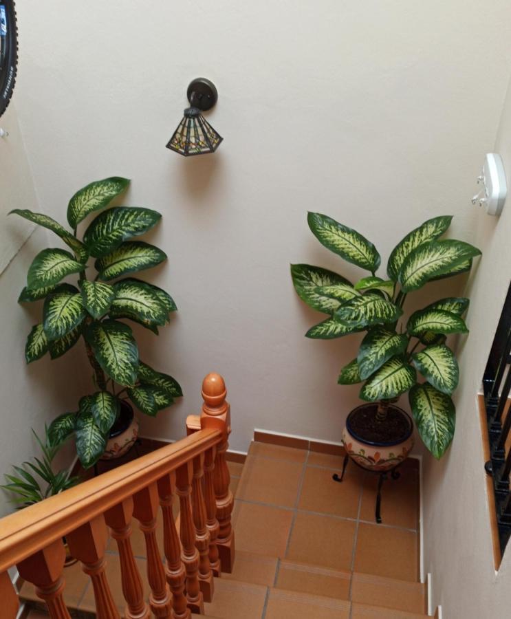 Setenil De Las Bodegas Casa Rural Abril מראה חיצוני תמונה